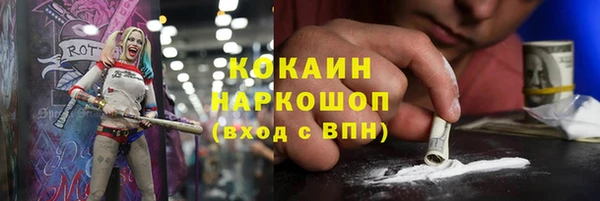 шишки Сатка