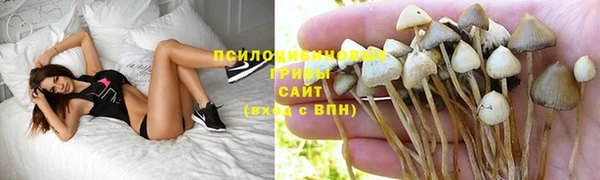 мет Абаза