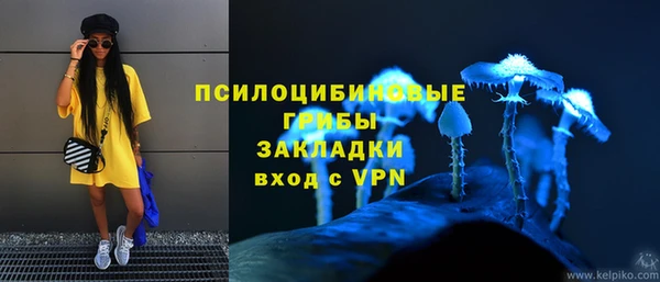 стаф Саяногорск