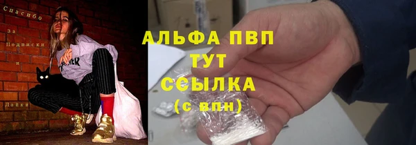 мет Алексин