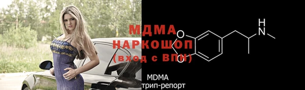 шишки Сатка