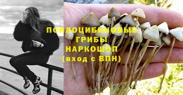 шишки Сатка