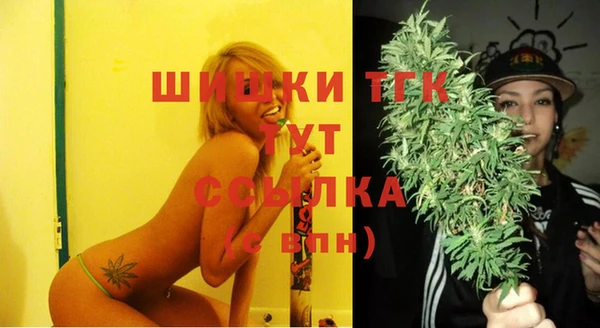 шишки Сатка